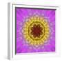 Colorful kaleidoscope.-Anna Miller-Framed Photographic Print