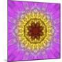 Colorful kaleidoscope.-Anna Miller-Mounted Photographic Print