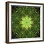 Colorful kaleidoscope.-Anna Miller-Framed Photographic Print