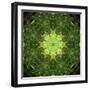 Colorful kaleidoscope.-Anna Miller-Framed Photographic Print