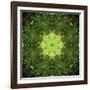 Colorful kaleidoscope.-Anna Miller-Framed Photographic Print