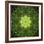 Colorful kaleidoscope.-Anna Miller-Framed Photographic Print