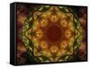 Colorful kaleidoscope.-Anna Miller-Framed Stretched Canvas