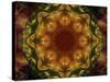 Colorful kaleidoscope.-Anna Miller-Stretched Canvas