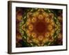 Colorful kaleidoscope.-Anna Miller-Framed Photographic Print