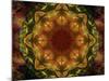 Colorful kaleidoscope.-Anna Miller-Mounted Photographic Print