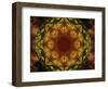 Colorful kaleidoscope.-Anna Miller-Framed Photographic Print