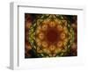 Colorful kaleidoscope.-Anna Miller-Framed Photographic Print