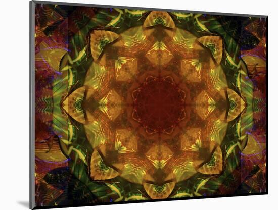 Colorful kaleidoscope.-Anna Miller-Mounted Photographic Print