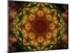 Colorful kaleidoscope.-Anna Miller-Mounted Photographic Print