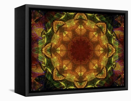 Colorful kaleidoscope.-Anna Miller-Framed Stretched Canvas