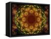 Colorful kaleidoscope.-Anna Miller-Framed Stretched Canvas