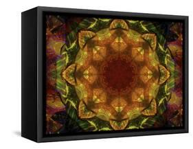 Colorful kaleidoscope.-Anna Miller-Framed Stretched Canvas