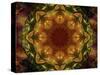 Colorful kaleidoscope.-Anna Miller-Stretched Canvas