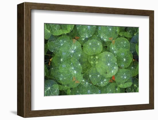 Colorful kaleidoscope.-Anna Miller-Framed Photographic Print