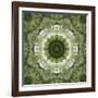 Colorful kaleidoscope.-Anna Miller-Framed Photographic Print