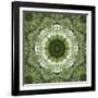 Colorful kaleidoscope.-Anna Miller-Framed Photographic Print