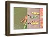 Colorful Kayaks Docked - as Seen from Above-Orhan-Framed Photographic Print