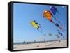 Colorful Kites Dot the Sky-null-Framed Stretched Canvas
