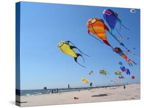 Colorful Kites Dot the Sky-null-Stretched Canvas