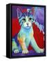 Colorful Kitten Finningan-Corina St. Martin-Framed Stretched Canvas