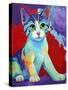 Colorful Kitten Finningan-Corina St. Martin-Stretched Canvas
