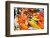 Colorful Koi Carps in a Feeding Frenzy-meanmachine77-Framed Photographic Print