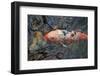 Colorful Koi or Carp Chinese Fish in Water-smartfoto-Framed Photographic Print