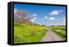 Colorful Landscape in Springtime-Ruud Morijn-Framed Stretched Canvas