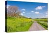 Colorful Landscape in Springtime-Ruud Morijn-Stretched Canvas