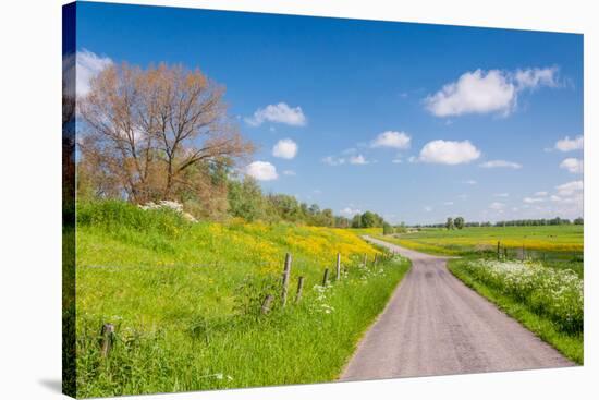 Colorful Landscape in Springtime-Ruud Morijn-Stretched Canvas