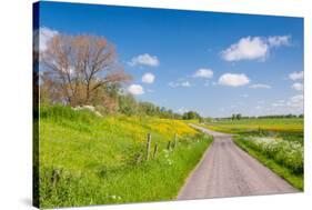 Colorful Landscape in Springtime-Ruud Morijn-Stretched Canvas