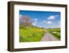 Colorful Landscape in Springtime-Ruud Morijn-Framed Photographic Print