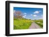 Colorful Landscape in Springtime-Ruud Morijn-Framed Photographic Print