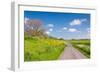 Colorful Landscape in Springtime-Ruud Morijn-Framed Photographic Print