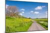 Colorful Landscape in Springtime-Ruud Morijn-Mounted Photographic Print