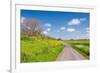 Colorful Landscape in Springtime-Ruud Morijn-Framed Photographic Print