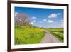 Colorful Landscape in Springtime-Ruud Morijn-Framed Photographic Print