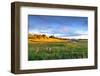 Colorful Landscape of Grass Field and Golden Shade of Sunset at Capalaba Redland-Maythee Voran-Framed Photographic Print