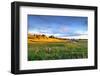 Colorful Landscape of Grass Field and Golden Shade of Sunset at Capalaba Redland-Maythee Voran-Framed Photographic Print