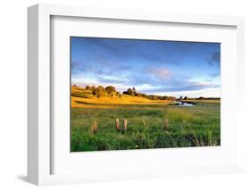 Colorful Landscape of Grass Field and Golden Shade of Sunset at Capalaba Redland-Maythee Voran-Framed Photographic Print