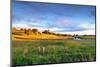 Colorful Landscape of Grass Field and Golden Shade of Sunset at Capalaba Redland-Maythee Voran-Mounted Photographic Print