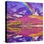 Colorful Landscape Scenery of Rainbow over Hill Slope Covered by Purple Heather Flowers and Dramati--Markus--Stretched Canvas