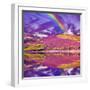 Colorful Landscape Scenery of Rainbow over Hill Slope Covered by Purple Heather Flowers and Dramati--Markus--Framed Photographic Print