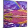 Colorful Landscape Scenery of Rainbow over Hill Slope Covered by Purple Heather Flowers and Dramati--Markus--Mounted Photographic Print