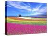 Colorful Landscape-Ata Alishahi-Stretched Canvas