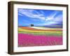 Colorful Landscape-Ata Alishahi-Framed Giclee Print