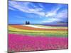 Colorful Landscape-Ata Alishahi-Mounted Giclee Print