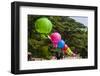 Colorful Lanterns in the Bulguksa Temple, Gyeongju, South Korea-Michael Runkel-Framed Photographic Print