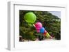 Colorful Lanterns in the Bulguksa Temple, Gyeongju, South Korea-Michael Runkel-Framed Photographic Print